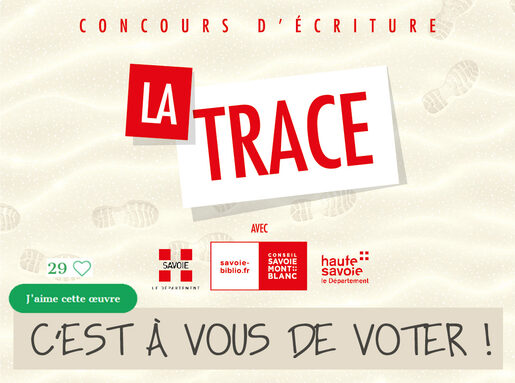 affiche et texte c'est à vous de voter !