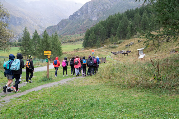 Adolescents qui marchent sur un chemin balisé en montagne