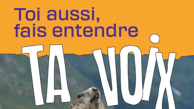 Visuel de l'affiche "toi aussi, fais entendre ta voix"